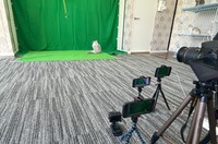 猫のグリーンバック撮影風景