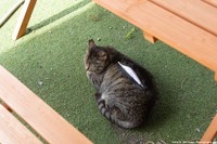 中身が気になる