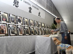 「今度会うときは友達として」　盲導犬の慰霊式