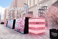 エボ・サクラ・レギュラー