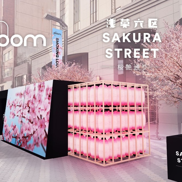 エボ・サクラ・レギュラー