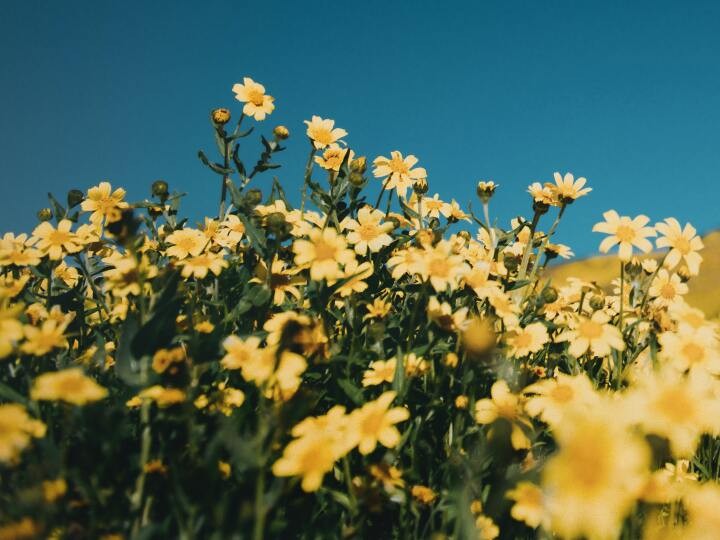 27歳 モテないのは女子校出身のせいという理由を 見直そうと思う かがみよかがみ