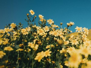 27歳、モテないのは女子校出身のせいという理由を、見直そうと思う