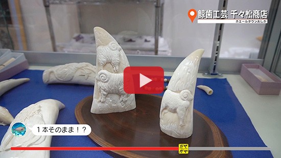 #350鮎川ぶらり旅③鯨歯工芸 千々松商店