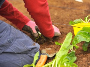 可愛い物は好き。でも、実用性のある物はもっと好き