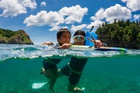 海水浴経験者の約7割が「クラゲ」に刺された経験あり　※画像はイメージです（shota/stock.adobe.com）
