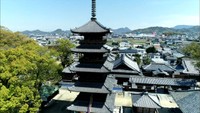 【特集】本山寺の五重塔　3年にわたる修理終え、次の100年へ　
