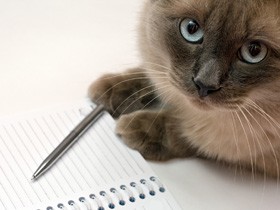 シンポジウム「殺処分ゼロとその先へ」　23日にさいたま市で開催