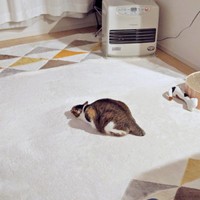 まるでツチノコ！？ カーペットの上でくつろぐつくねちゃん（画像提供：猫目さん）