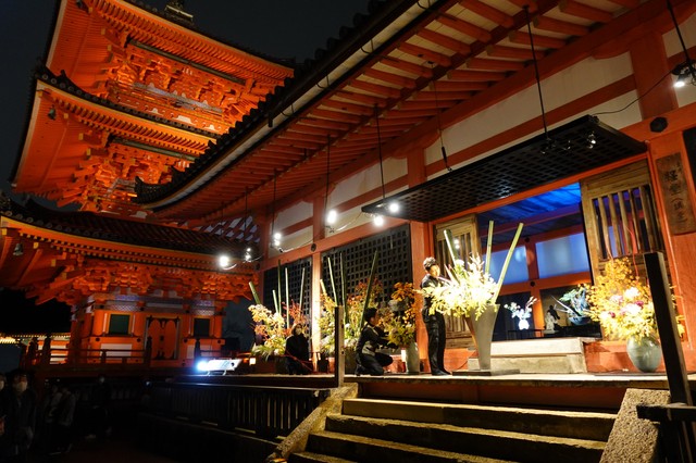 秋の夜間特別拝観でライトアップされた清水寺で池坊のいけばなと清水焼がコラボした