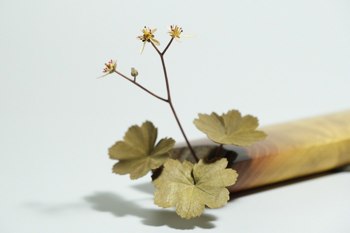 a0c0fa6bdbaf1d26c1a2b9979ab38d