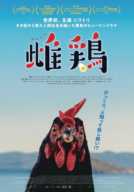 ギャラリー | 主演・ニワトリ！ CG＆AIほぼなし撮影でニワトリから見た