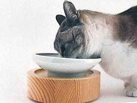 こだわりは「猫目線」　グッドデザイン賞獲得を支える愛猫の協力