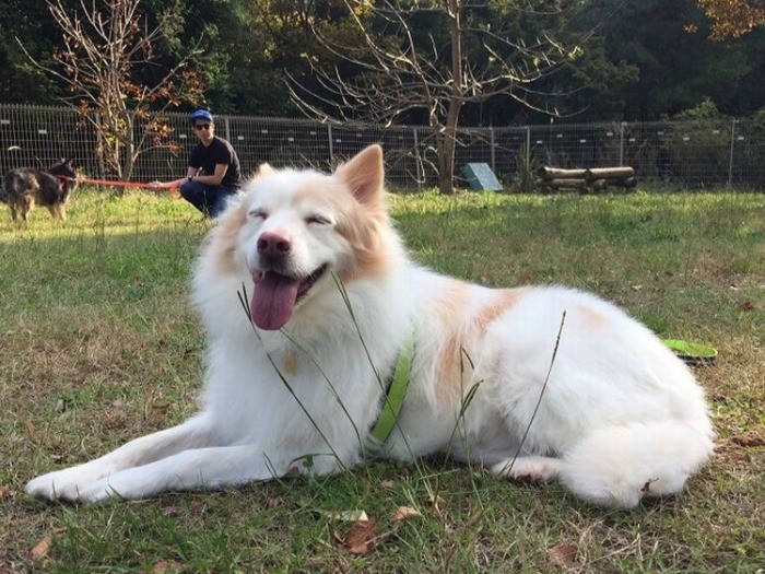 満面の笑みのイクシオンくん