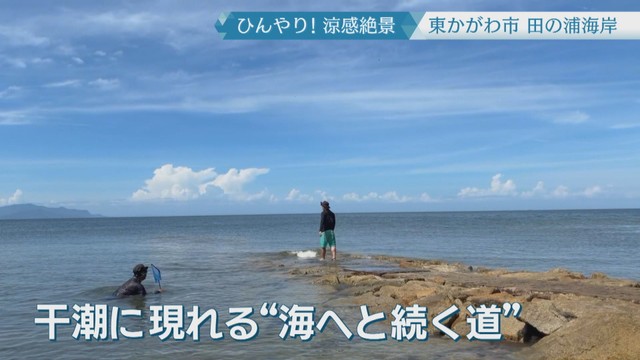田の浦海岸　東かがわ市