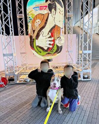 お散歩の練習中だったころのアンちゃん（画像提供：アン-ANNE-さん）