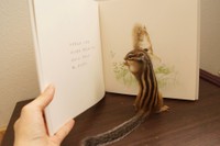 ふむふむ（ソフィーちゃん）