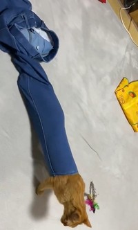 でてきた！（つぶさん提供、Xよりキャプチャ撮影）