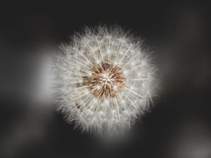 他の人が怒られていても自分が怒られてるように感じて、泣いていた