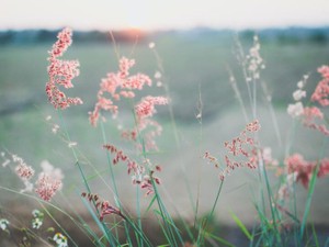 かばってくれた友達を手放した。伝えられなかった、ごめんねの気持ち