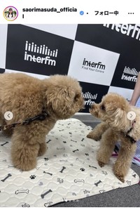 増田紗織アナウンサーのインスタグラム＠saorimasuda_officialより