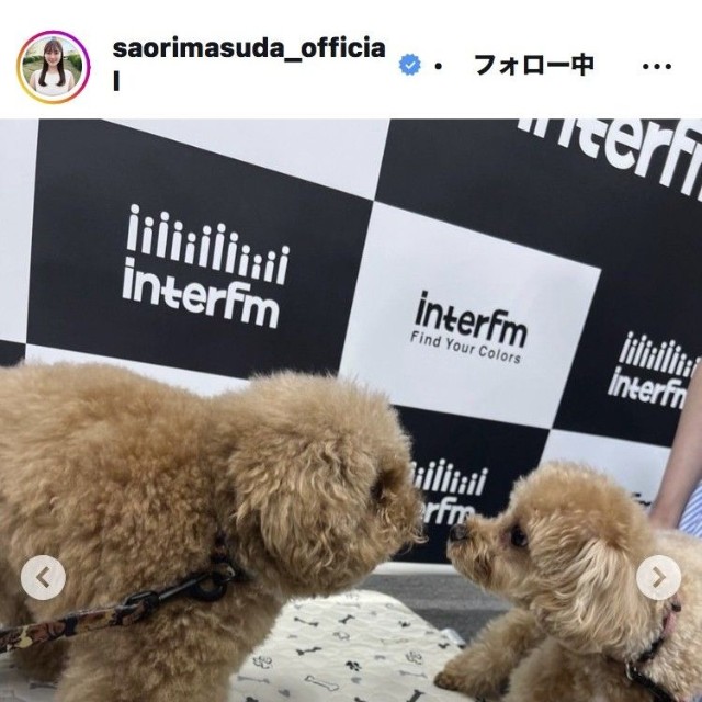 増田紗織アナウンサーのインスタグラム＠saorimasuda_officialより