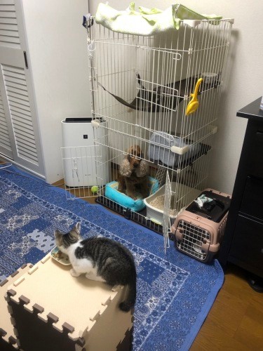 資源を守らなくて良い環境をつくる