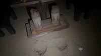岡山・中区の公園でベンチが倒壊し男性1人がけが　別の公園では倒木も
