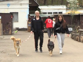 戦争で奪うことのできないもの　「できることを」と被災犬の散歩のため人々が集まる