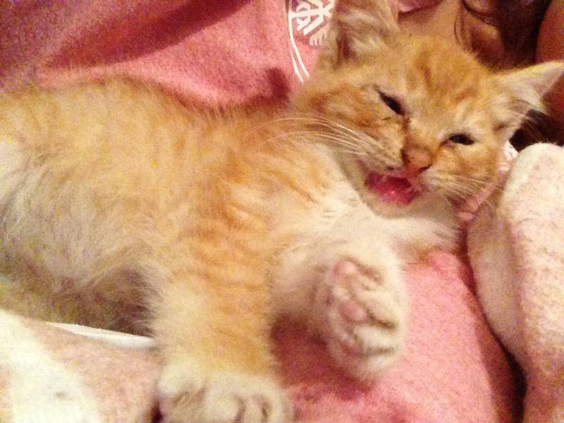 元気に大きくなって、本当によかった