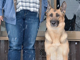 「かわいい」だけでは不幸に　犬を飼う前に詳しい人に相談を