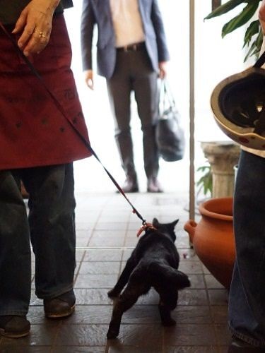 「お客様、いらっしゃいませ～」