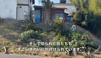 切られた枝たちもすごいきれいに片付けられています／CAT HOUSE DIYさん（@cathousediy）提供