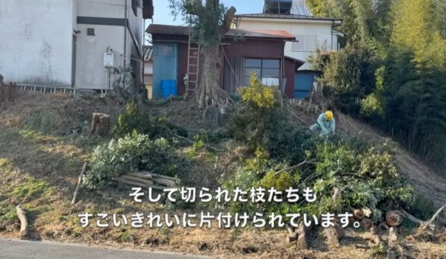 切られた枝たちもすごいきれいに片付けられています／CAT HOUSE DIYさん（@cathousediy）提供