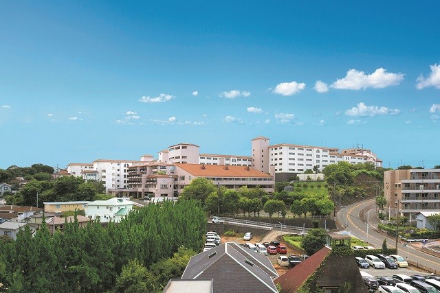 油壷