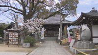 四国霊場83番札所　一宮寺で桜が見頃　高松市