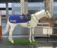 初代より改良を重ねたため、現在の白馬のモデルはいないそう