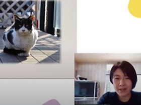 動物たちのために私が出来ることは？　一歩踏み出して気持ちを形にしてみよう