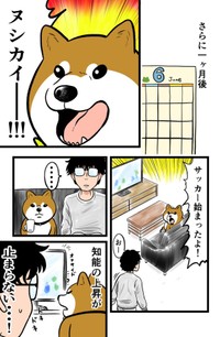 【漫画】『ケンちゃんおしゃべり犬の物語』5（夢窓かずみさん提供）