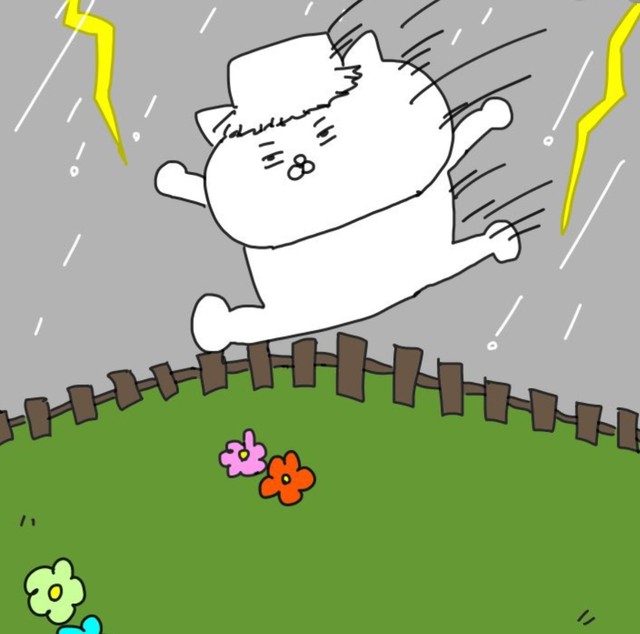 Kちゃんはいろんな柵を越えてきた。私も…（猫田まんじまるさん提供）