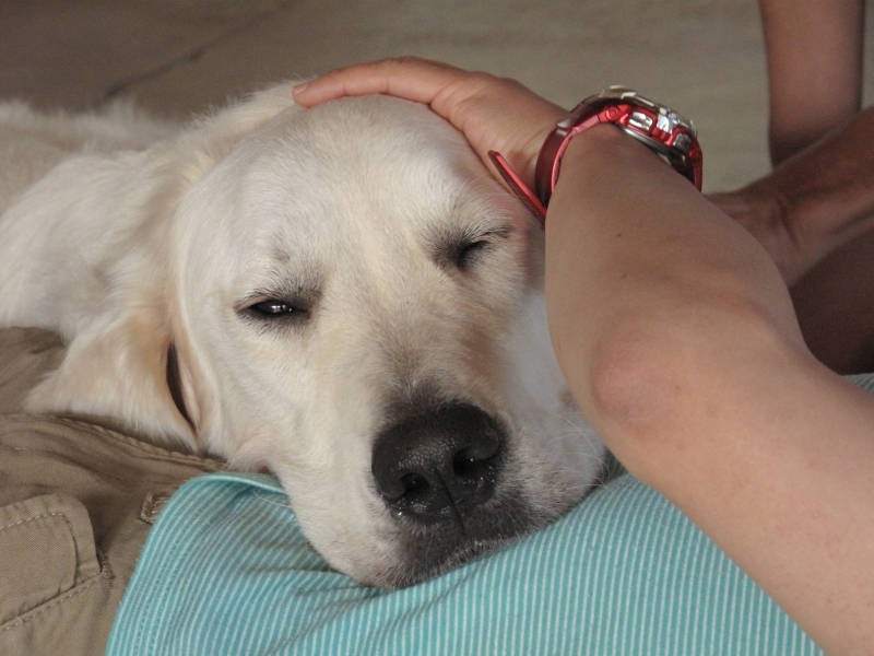 トレーニング中にうとうと……