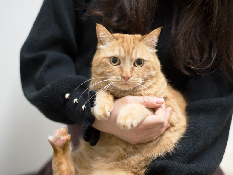 「私ね、じっとしてるの嫌いなの、なんか文句あって？」（小林写函撮影）