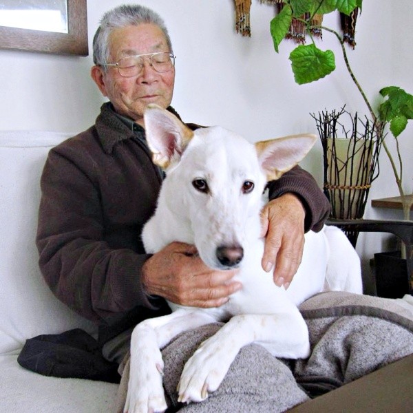 じぃじ手作りの「ノーズワークマット」で再び、食欲が戻り、歩けるようになったテラゾーくん（画像提供：テラゾーさん）