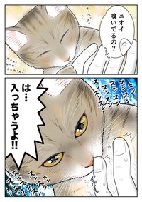 【漫画】『ネコまんがまとめ』12　（も～さんの提供）