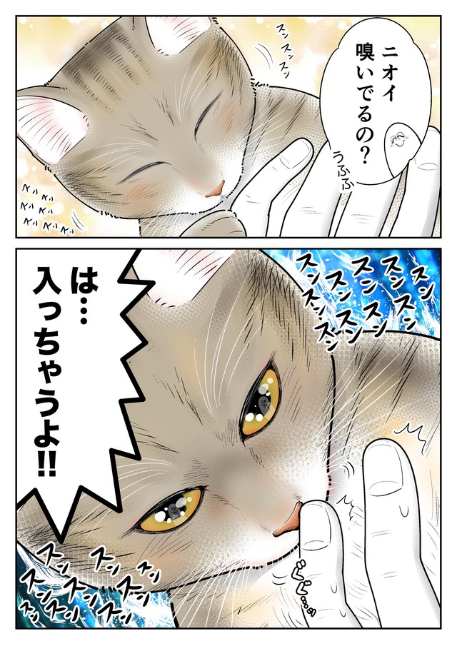 【漫画】『ネコまんがまとめ』12　（も～さんの提供）