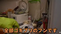 部屋の至る所にゴキブリのフンが