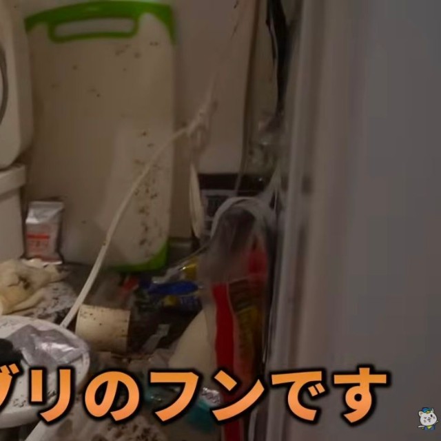 部屋の至る所にゴキブリのフンが