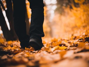 五感を研ぎ澄まし味わう非日常。スマホを切って手に入れる小さな幸せ