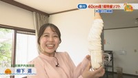 柳下遥アナウンサー