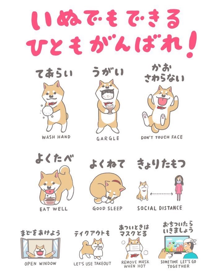 猫と犬の注意喚起ポスターが話題 漫画 いとしのムーコ みずしな先生に聞く ポスターに込めた思い とは まいどなニュース